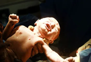 Esta Parte Do Seu Bebê Permanece Em Seu Corpo Por Até 38 Anos Após O Parto