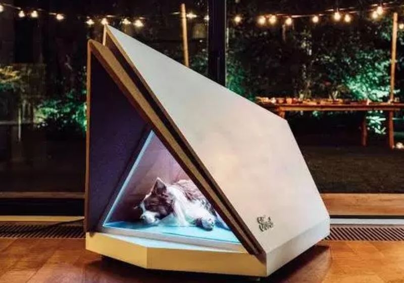 Criada casinha para cães à prova de barulhos fogos de artifício