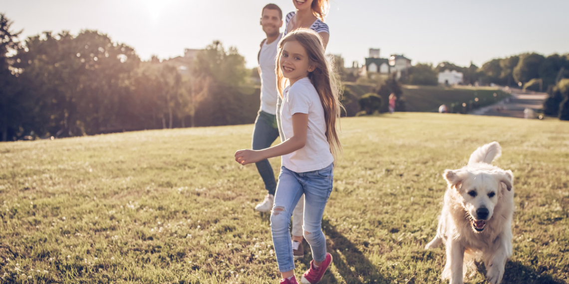 Cachorro ganha título de Dr. depois de ajudar em crianças com câncer