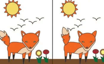 Teste de personalidade: Qual diferença entre as imagens você enxerga primeiro?