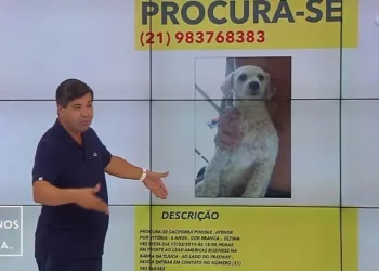 Busca por cachorrinha de apresentador mobiliza Xuxa e outros famosos