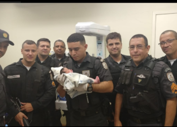 Menina recém-nascida é socorrida por mulher e PMs em Santa Cruz