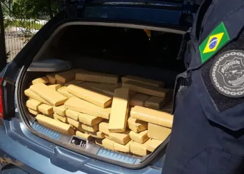 PRF apreende meia tonelada de maconha em Seropédica