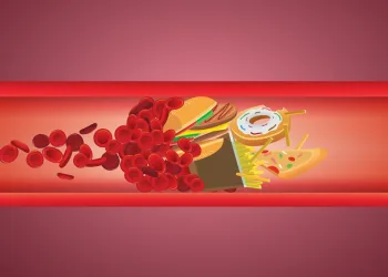 Saiba quais são as diferenças entre o colesterol bom e o ruim