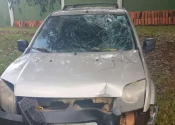 DF: após defender mãe em briga, jovem quase é morto pelo próprio pai