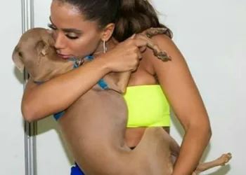 Cão de Anitta é ameaçado de morte por internautas