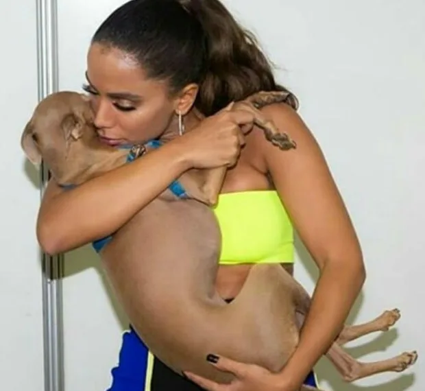 Cão de Anitta é ameaçado de morte por internautas