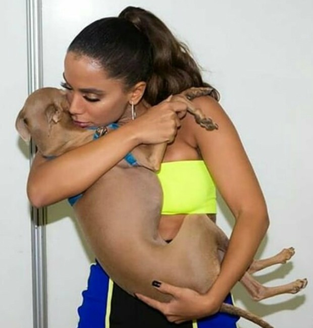 Cão de Anitta é ameaçado de morte por internautas