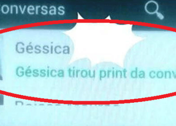 WhatsApp passará a avisar quando você dá print de alguma conversa