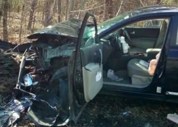 Mulher vê aranha, entra em pânico e bate com o carro