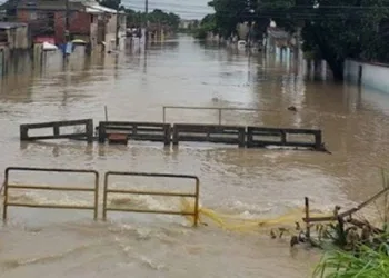 Muro cai em comunidade na Zona Oeste, e criação de jacarés foge pelas ruas