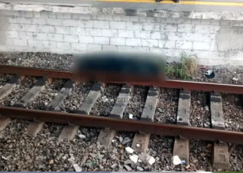 Homem morre ao cair de trem em ramal no RJ