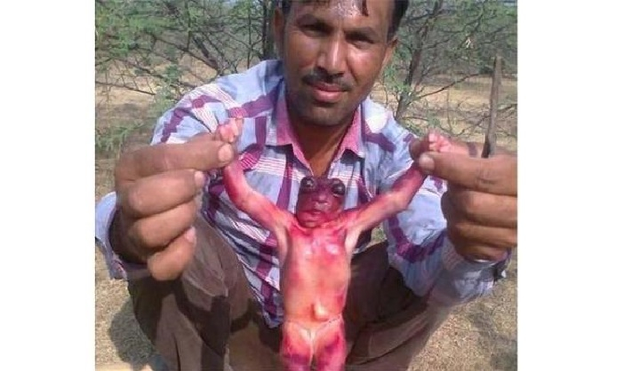 Criatura bizarra é encontrada na Índia e assusta moradores, veja as fotos!