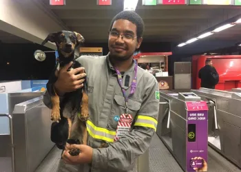 CACHORRO QUE INVADIU TRILHOS DO METRÔ RIO É ADOTADO POR FUNCIONÁRIO