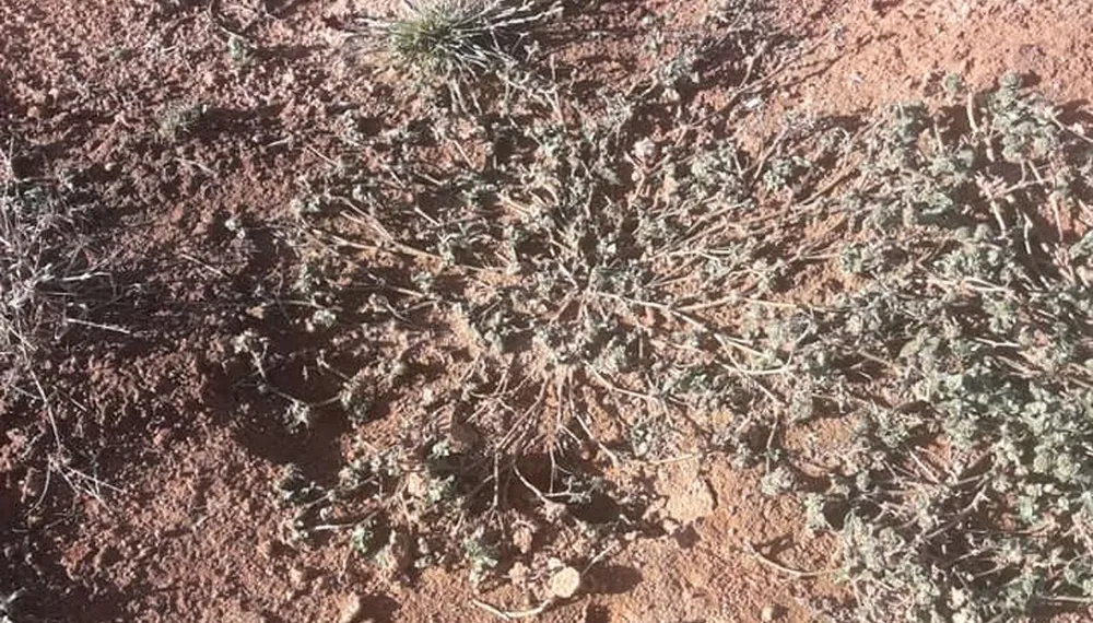 Flávia Paonessa, de 45 anos, caiu dentro deste buraco no Cemitério Municipal Caingá, em Teresópolis — Foto: Arquivo pessoal/Flávia Paonessa