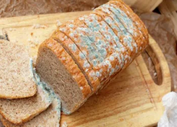 Entenda por que você nunca deve comer a parte limpa de um pedaço de pão mofado