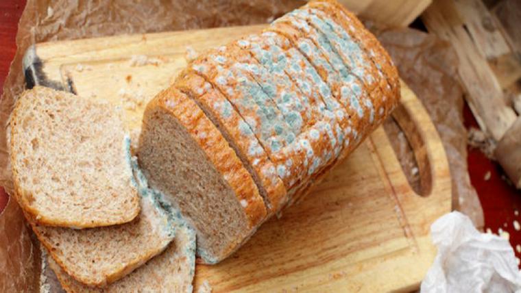 Entenda por que você nunca deve comer a parte limpa de um pedaço de pão mofado