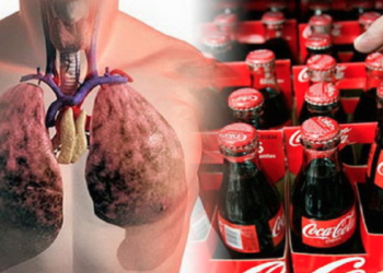 Você sabe o que acontece com seu corpo quando ingere Coca Cola?