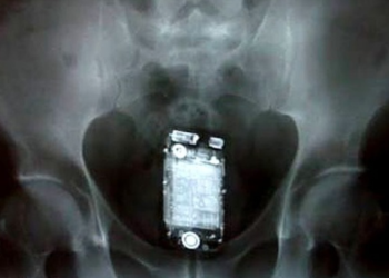 Vistoria na prisão: Enfiou o celular no ânus, mas ele tocou