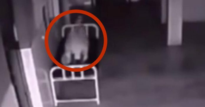 Mulher morre em corredor de hospital, mas o que a câmera de segurança registrou é impressionante(VÍDEO +18))