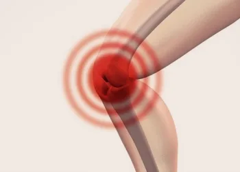 Aprenda a se beneficiar da hortelã para recuperar as cartilagens e evitar dores