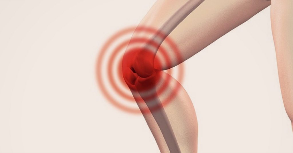 Aprenda a se beneficiar da hortelã para recuperar as cartilagens e evitar dores