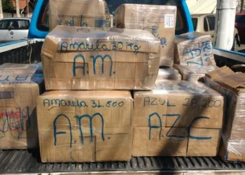 Polícia apreende meia tonelada de maconha que vinha de Campo Grande