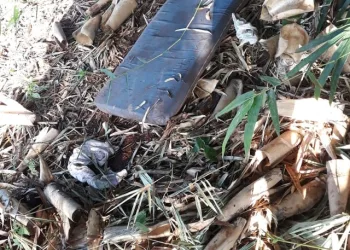 Esfaqueado ao flagrar estupro de enteada de 3 anos em canavial