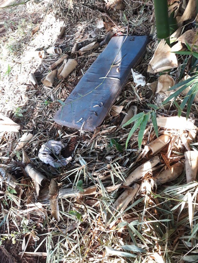 Esfaqueado ao flagrar estupro de enteada de 3 anos em canavial