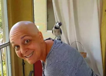 Passarinho visita todos os dias a mulher que salvou sua vida