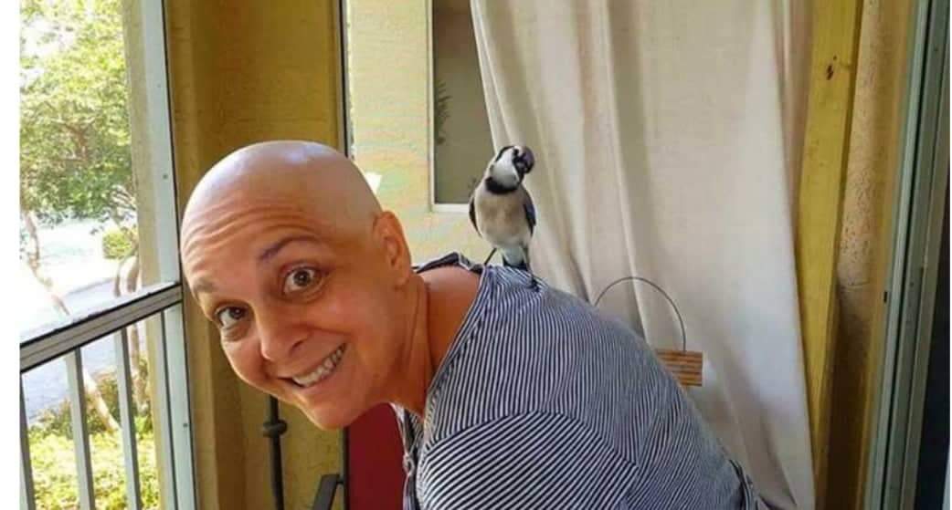 Passarinho visita todos os dias a mulher que salvou sua vida