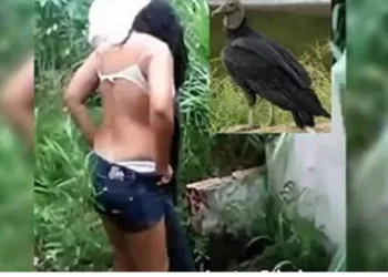VARIEDADESMulher com mal cheiro nas partes íntimas é atacada por urubus