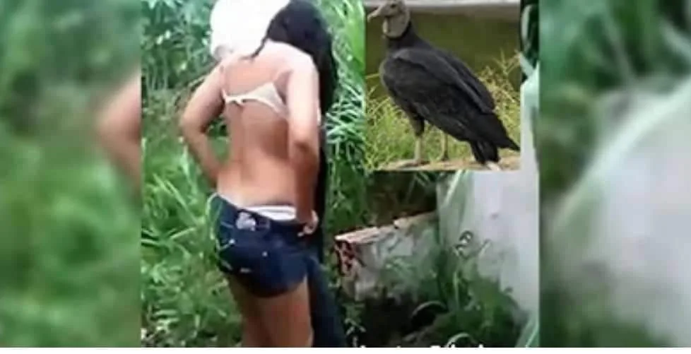 VARIEDADESMulher com mal cheiro nas partes íntimas é atacada por urubus
