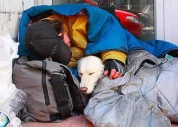 Morador de rua e seu cachorro morrem de frio e são encontrados abraçados
