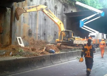 Tunel Acústico liberado parcialmente