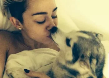 Estudo diz que mulheres dormem melhor ao lado de cachorros do que ao lado de homens