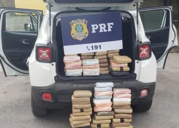 PRF apreende carga de Crack e Skunk em Itaguaí
