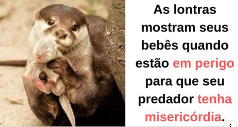20 impressionantes fatos e curiosidades sobre os animais