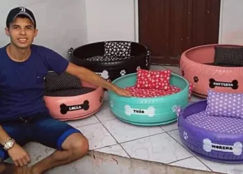 Artista brasileiro transforma pneus velhos em camas para animais de rua