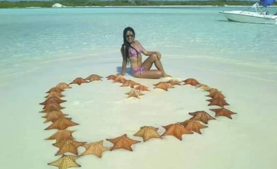 Turista matou 31 estrelas do mar a troco de uma foto e alguma curtidas