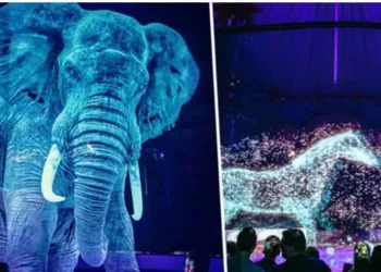 Circo troca animais por hologramas e cria espetáculo fascinante sem sofrimento