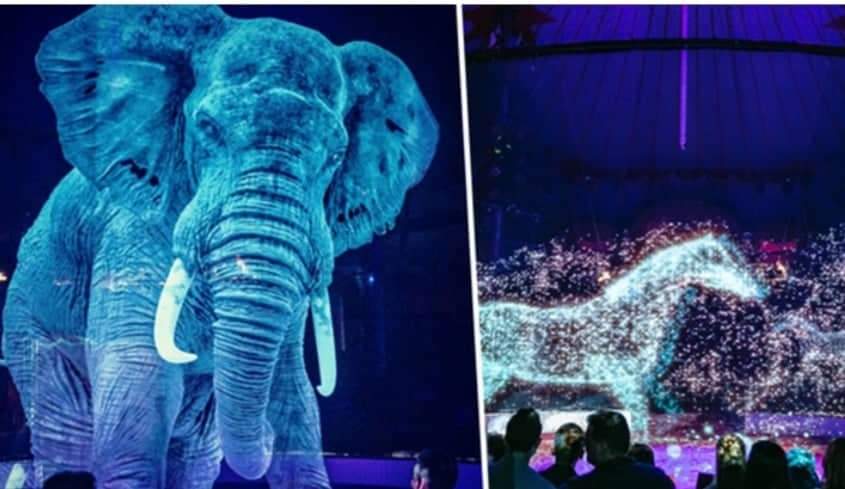Circo troca animais por hologramas e cria espetáculo fascinante sem sofrimento