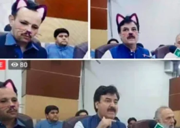 Governante  faz transmissão na internet com filtro de gatinho
