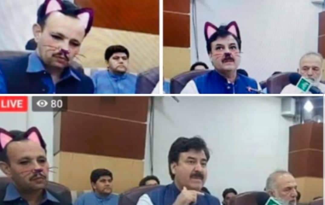 Governante  faz transmissão na internet com filtro de gatinho