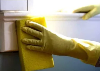 Uma casa muito organizada e limpa é sinal de infelicidade! Afirma estudo psicológico!