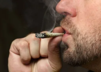 Highsexual: Nova categoria de gays, que só são gays quando fumam maconha