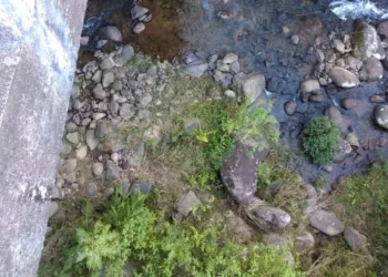 Dois homens são encontrados mortos  em Mangaratiba