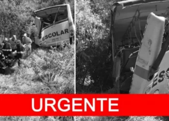 Ônibus escolar bate de frente com caminhão e crianças morrem ( FOTOS)