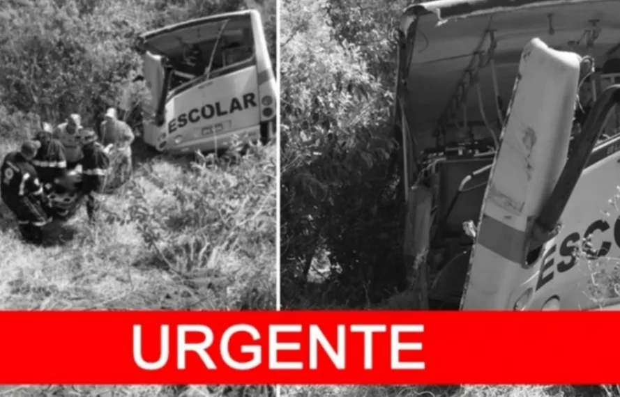 Ônibus escolar bate de frente com caminhão e crianças morrem ( FOTOS)