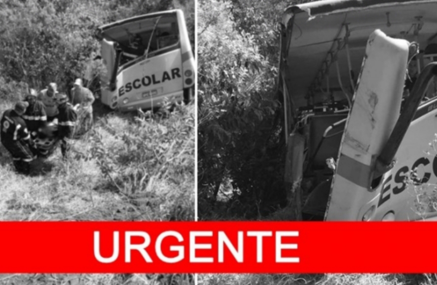 Ônibus escolar bate de frente com caminhão e crianças morrem ( FOTOS)